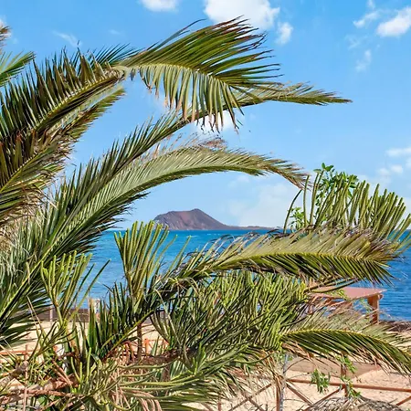 La Casita Serenada コラレホ